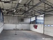 Hale + platforma betonata mp Giurgiului ( Zetari ) 