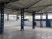 Hale + platforma betonata mp Giurgiului ( Zetari ) 