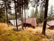 Casa de vacanta/Cabana cu 8 camere de in Paltinis 