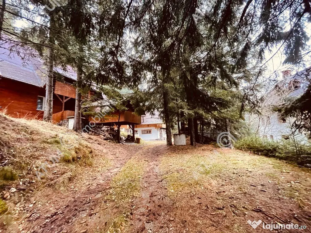 Casa de vacanta/Cabana cu 8 camere de in Paltinis