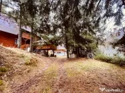 Casa de vacanta/Cabana cu 8 camere de in Paltinis 