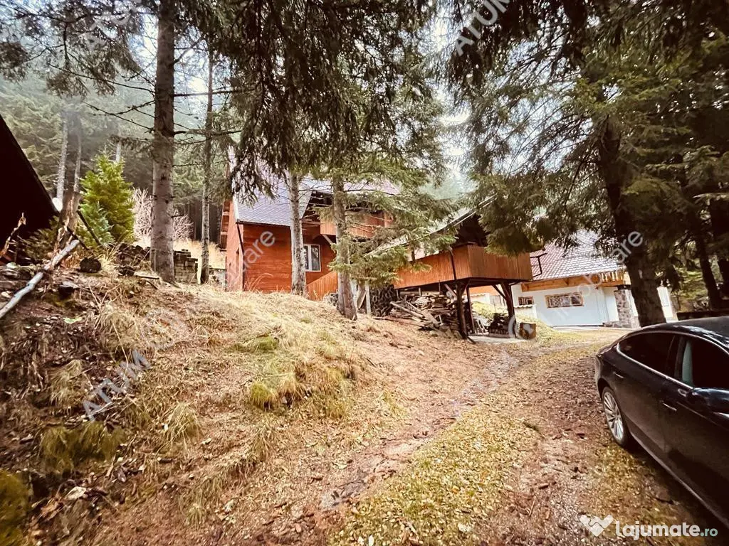 Casa de vacanta/Cabana cu 8 camere de in Paltinis