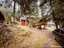 Casa de vacanta/Cabana cu 8 camere de in Paltinis