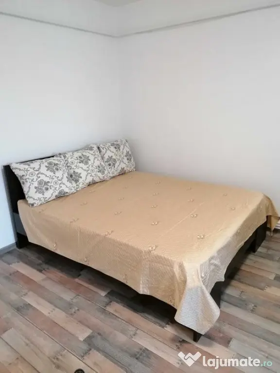 Apartament 1 camera in zona Gheorghe Lazar
