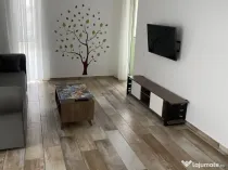 Ap 2 camere in Lipovei