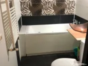 Garsoniera zona torontalului 