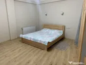 Apartament cu 1 camera in Dambul Rotund 