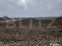 Teren De Vanzare langa Crama Jelna