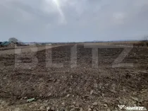 Teren De Vanzare langa Crama Jelna