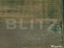 Teren extravilan, zona Carcea, cu o suprafata de 12218 mp
