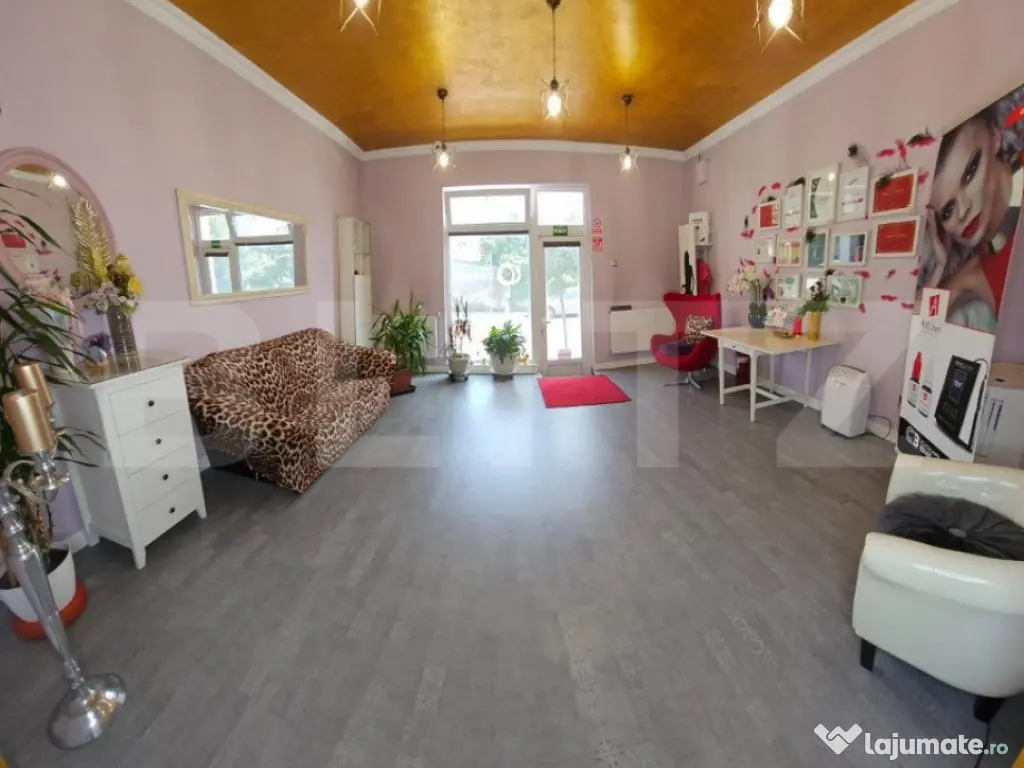 Casa 5 camere, 173mp, zona Centrala