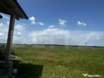 Teren intravilan, 500/900mp, zona Grigorescu 2