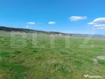 Teren zona industriala