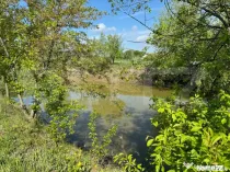 Teren 19000mp , iaz -120mp, Botosanita, Siret