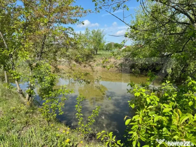 Teren 19000mp , iaz -120mp, Botosanita, Siret - Botosanita Mare (Suceava)