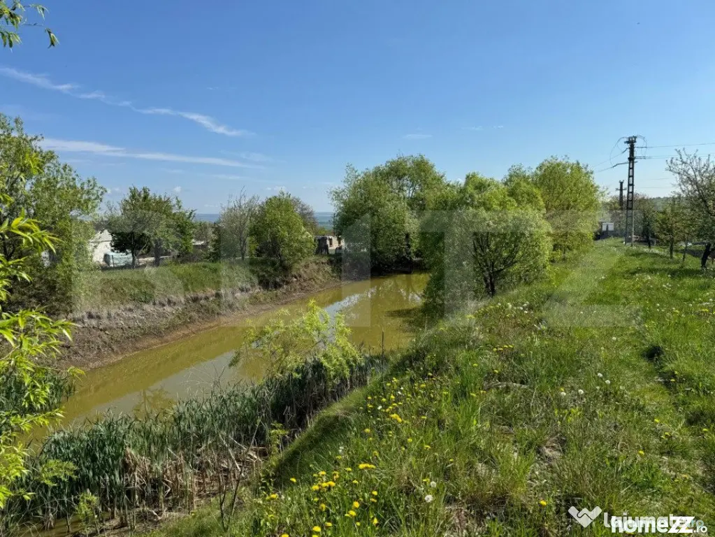 Teren 19000mp , iaz -120mp, Botosanita, Siret - Botosanita Mare (Suceava)