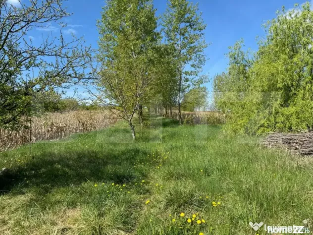 Teren 19000mp , iaz -120mp, Botosanita, Siret - Botosanita Mare (Suceava)