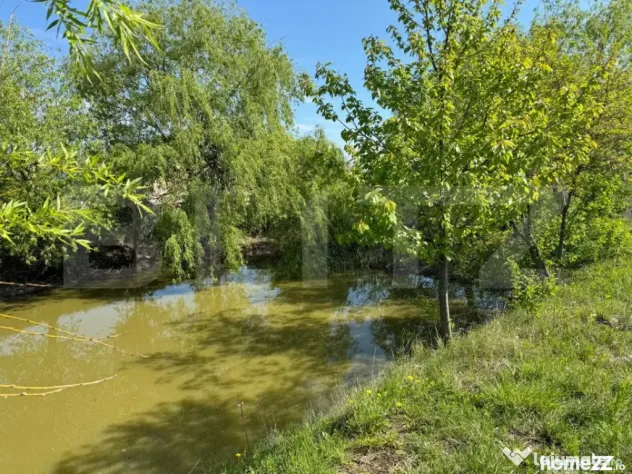 Teren 19000mp , iaz -120mp, Botosanita, Siret - Botosanita Mare (Suceava)