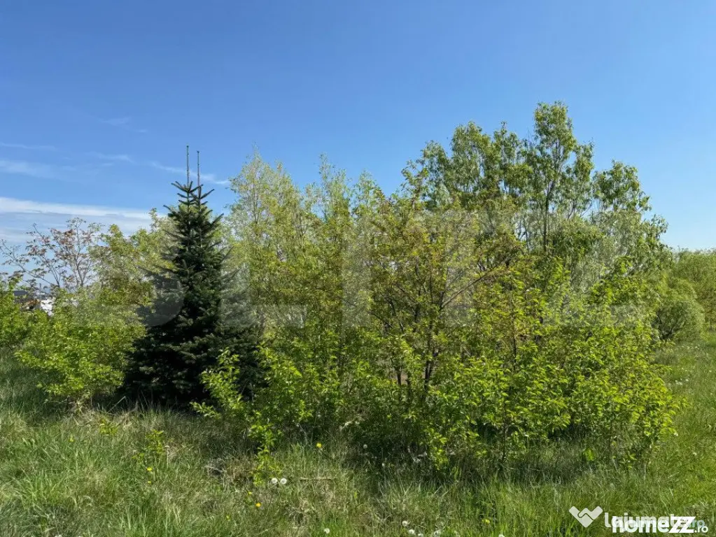 Teren 19000mp , iaz -120mp, Botosanita, Siret - Botosanita Mare (Suceava)