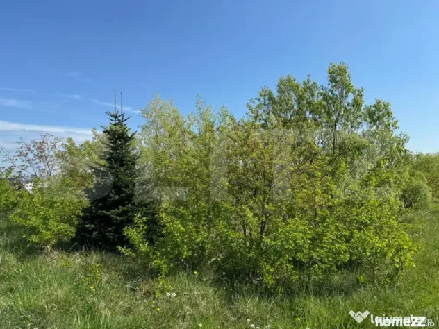 Teren 19000mp , iaz -120mp, Botosanita, Siret - Botosanita Mare (Suceava)