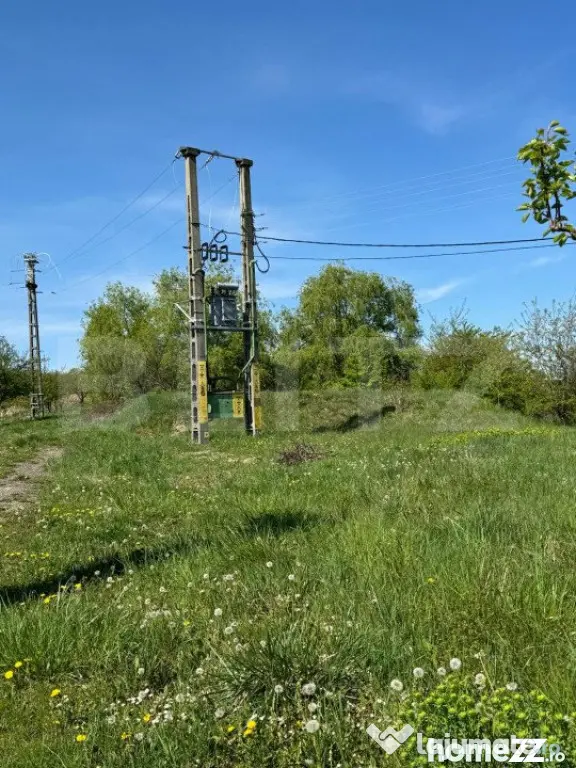 Teren 19000mp , iaz -120mp, Botosanita, Siret - Botosanita Mare (Suceava)