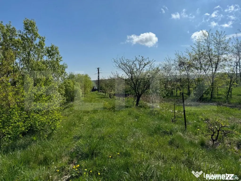 Teren 19000mp , iaz -120mp, Botosanita, Siret - Botosanita Mare (Suceava)