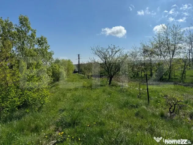 Teren 19000mp , iaz -120mp, Botosanita, Siret - Botosanita Mare (Suceava)