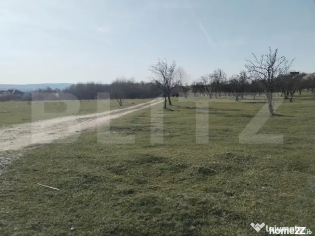 Teren intravilan cu suprafață de 9ha, Aninoasa - Aninoasa (Dambovita)