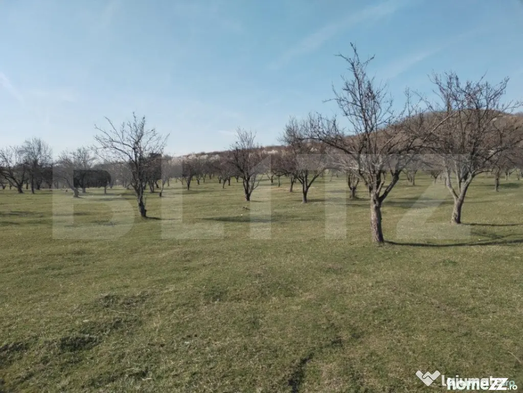 Teren intravilan cu suprafață de 9ha, Aninoasa - Aninoasa (Dambovita)