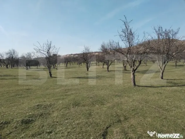 Teren intravilan cu suprafață de 9ha, Aninoasa - Aninoasa (Dambovita)