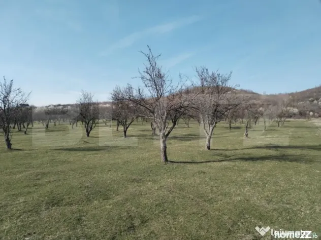 Teren intravilan cu suprafață de 9ha, Aninoasa - Aninoasa (Dambovita)