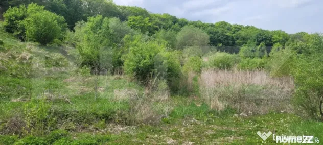 Investitie! Teren intravilan, 1252mp, Feleacu/Wonderland - Feleacu (Cluj)