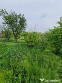 Teren pentru constructie de case sau duplexuri, Certificat d
