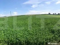 Oportunitate! Teren intravilan, 2500mp, zona Bosanci