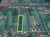 Teren intravilan | 11.500mp | Decebal