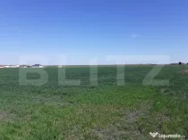 Teren cu suprafață de 3 ha, front 52 m, zona Calea Aradulu