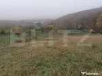 Teren de 1808 mp utilitati apa, gaz, curent in apropiere, zo