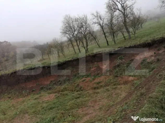 Teren de 1808 mp utilitati apa, gaz, curent in apropiere, zo