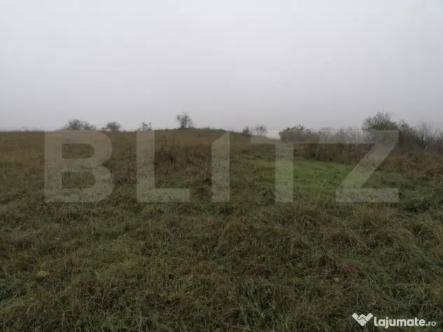 Teren de 1808 mp utilitati apa, gaz, curent in apropiere, zo