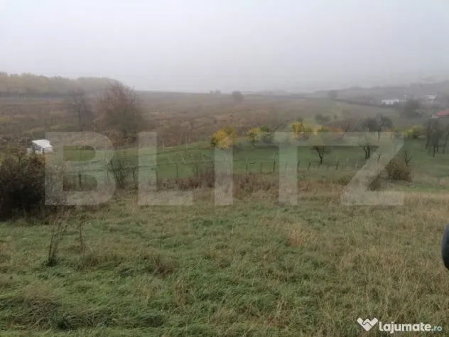 Teren de 1808 mp utilitati apa, gaz, curent in apropiere, zo