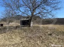 Livadă de nuci – 2 ha | Acces DN17 | Investiție profitab