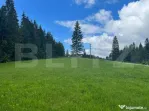 Teren 7000, Piatra Fantanele - Castel Dracula
