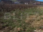 Teren intravilan 1200mp,intre pasarela si Viisoara