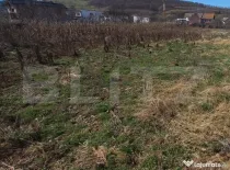 Teren intravilan 1200mp,intre pasarela si Viisoara