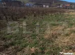 Teren intravilan 1200mp,intre pasarela si Viisoara