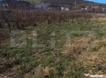 Teren intravilan 1200mp,intre pasarela si Viisoara