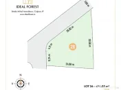 LOT DE VANZARE cu deschidere la padurea Snagov 