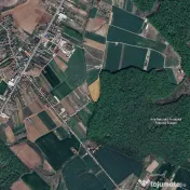 LOT DE VANZARE cu deschidere la padurea Snagov 