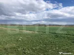 De vanzare teren extravilan 50.000 mp