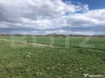 De vanzare teren extravilan 50.000 mp